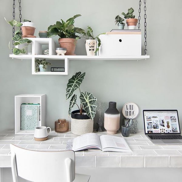 Plantas de interior para decorar
