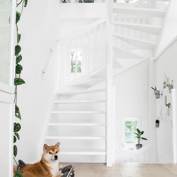 Colores claros para una decoración modera y fresca