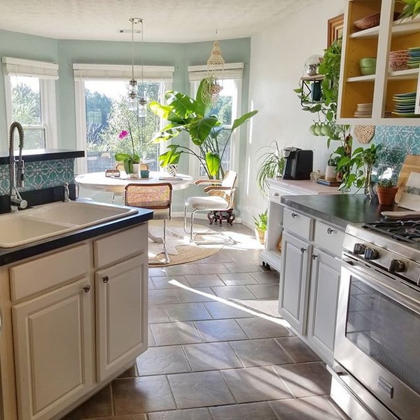 Plantas en interiores