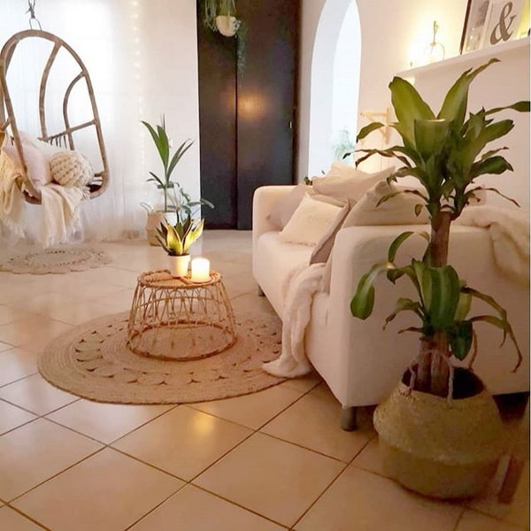 Plantas de interior