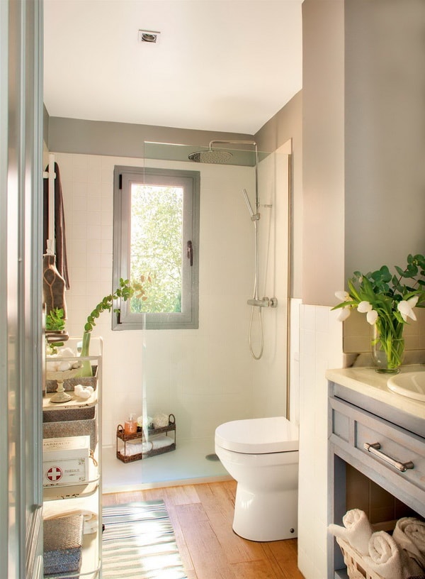 Plantas para decorar el baño
