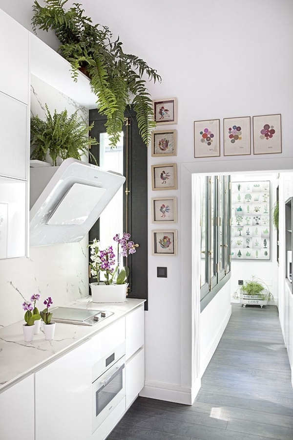 Plantas en cocina blanca