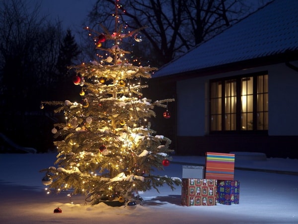 Árboles de Navidad exteriores