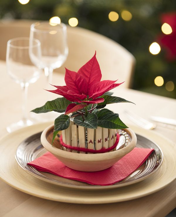 Centro de mesa navideño con flor de Pascua