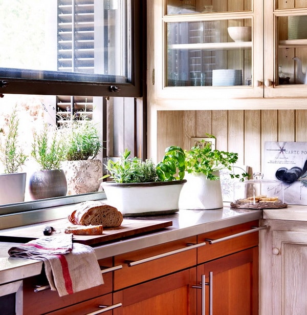 Plantas para la cocina
