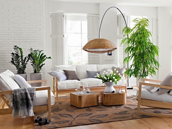beneficios de las plantas de interior