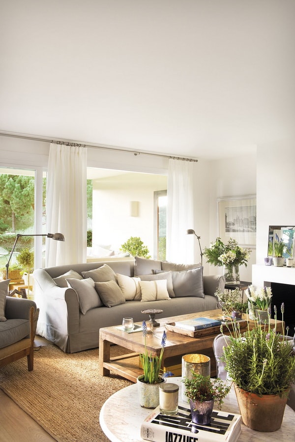 Salones modernos con plantas