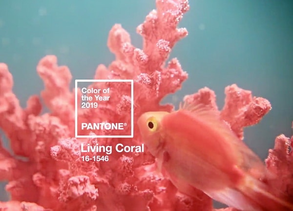 Living Coral: color Pantone 2019