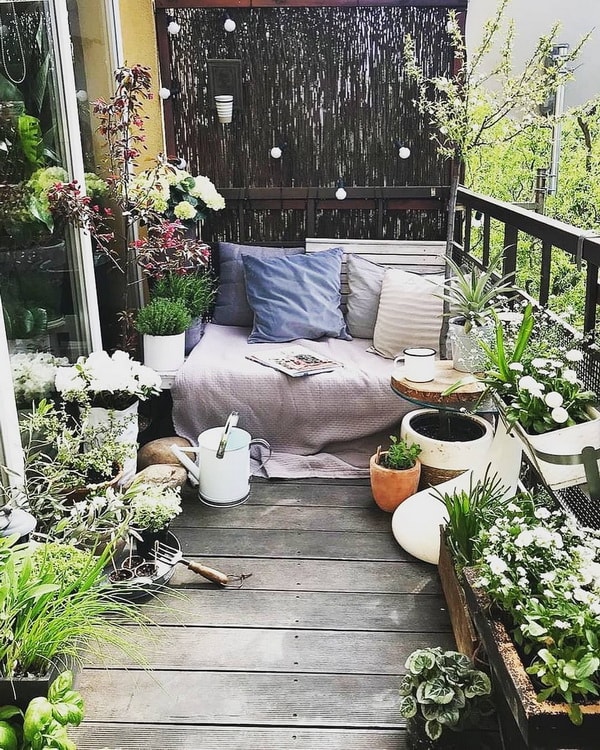 Plantas en mini terrazas