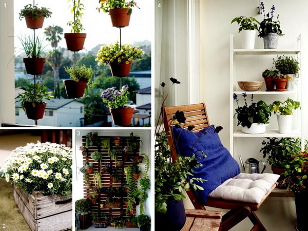 Plantas en terrazas
