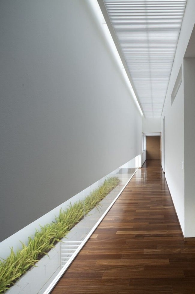Plantas en pasillos estrechos