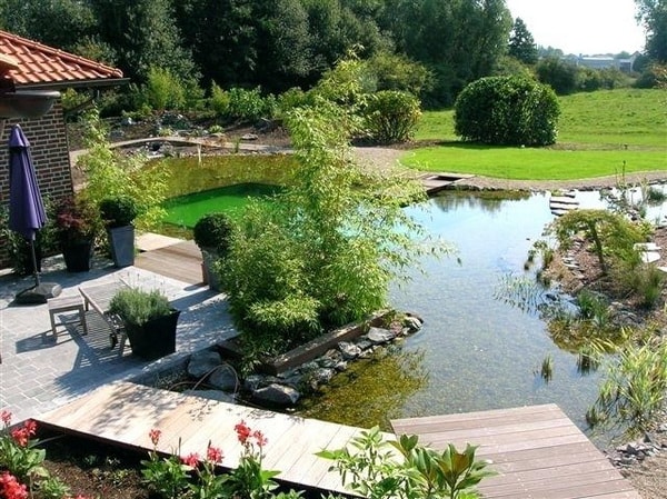 Diseñod e piscinas naturales