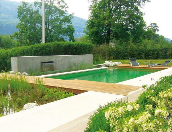 Piscinas ecológicas con plantas