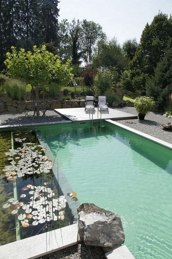 Piscinas naturales en patios y jardines