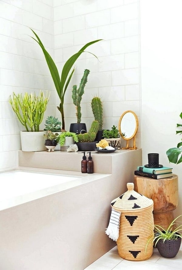 Plantas para decorar el baño