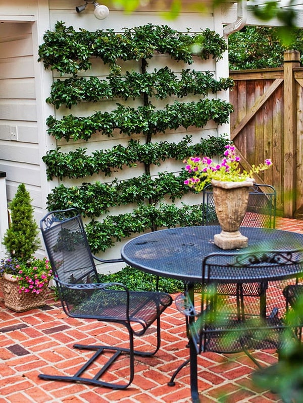 Ideas de ajrdines verticales Jardines verticales para patios