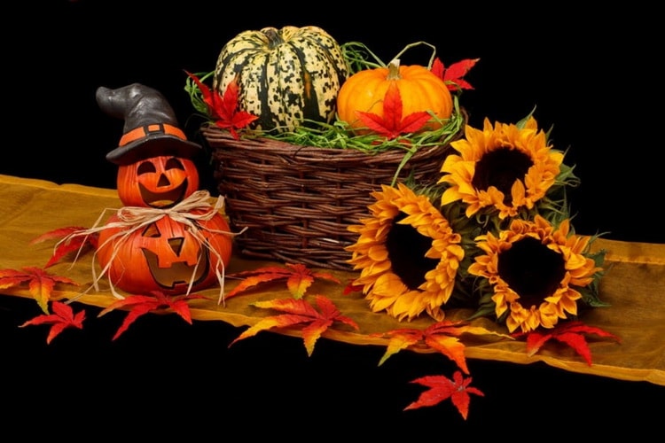 Frutos de otoño para decorar