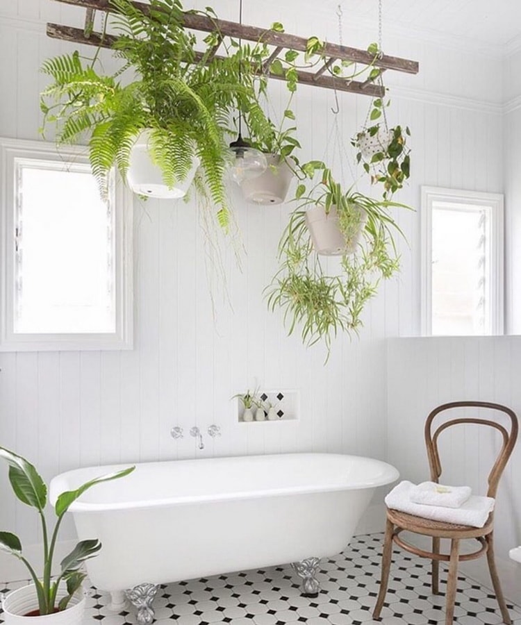 Ideas para decorar el baño con plantas
