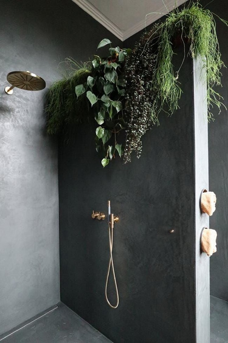 Plantas en el baño