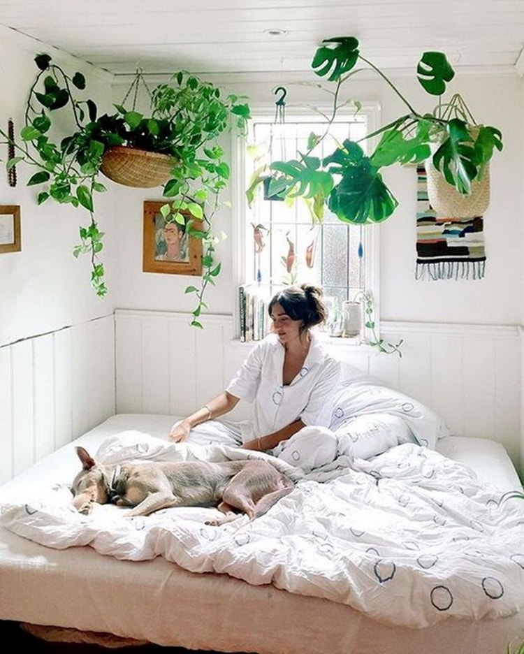 Plantas en dormitorios