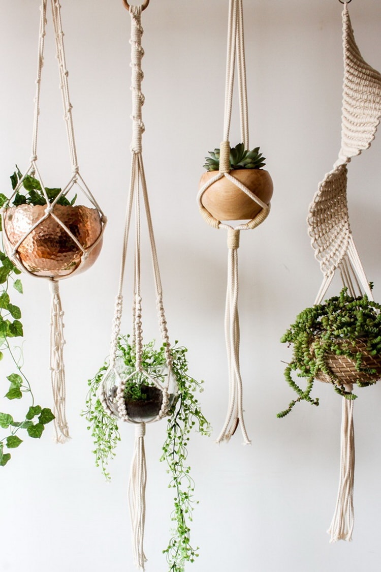 Plantas colgantes para decorar el hogar. Maceteros colgantes.