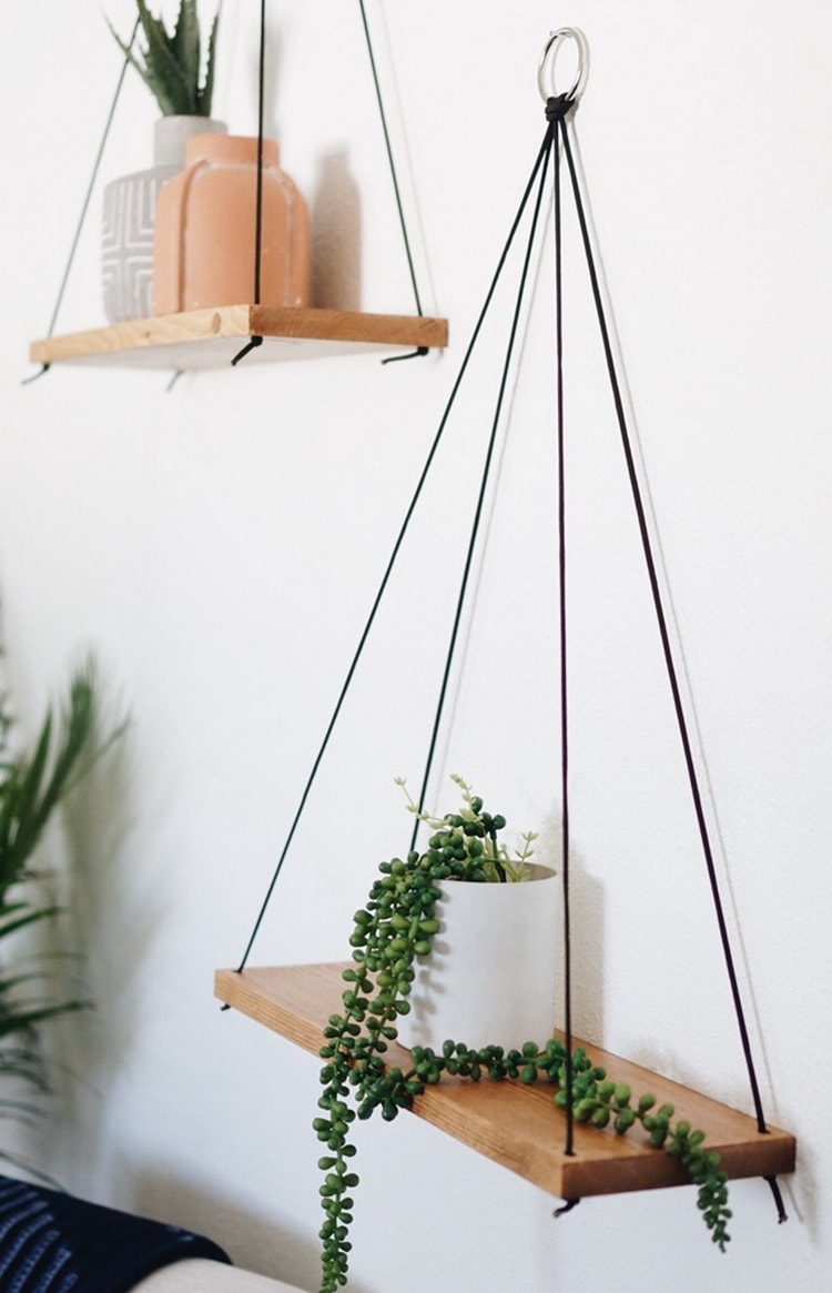 ▷ Plantas para decorar el hogar.