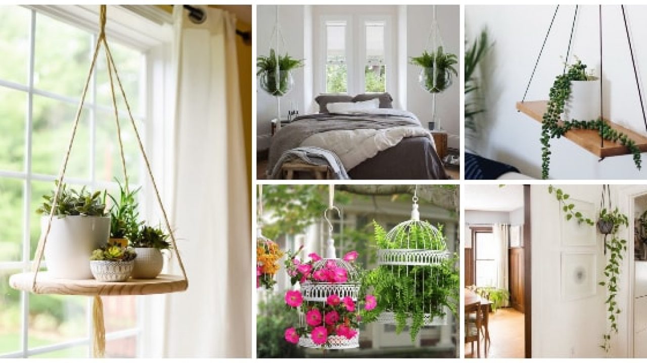 Plantas colgantes: ideas para decorar dentro y fuera de casa (con shopping)