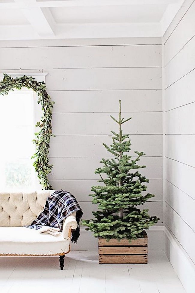 Árboles de Navidad en cajas de madera