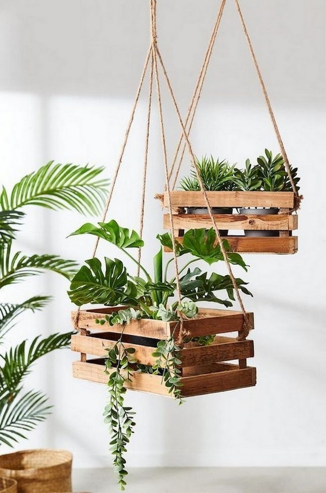Cajas de madera como maceteros