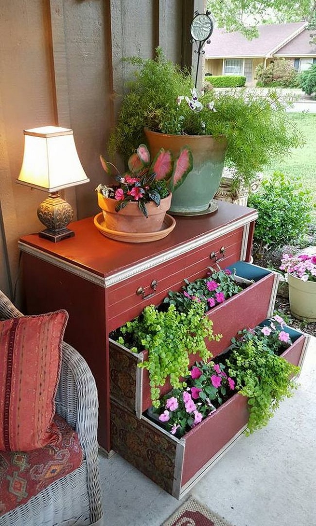 Plantas en muebles