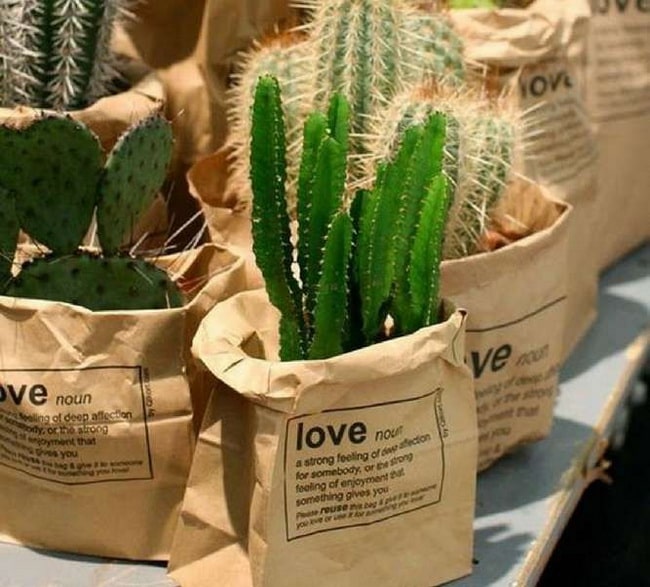 Plantas en bolsas de papel