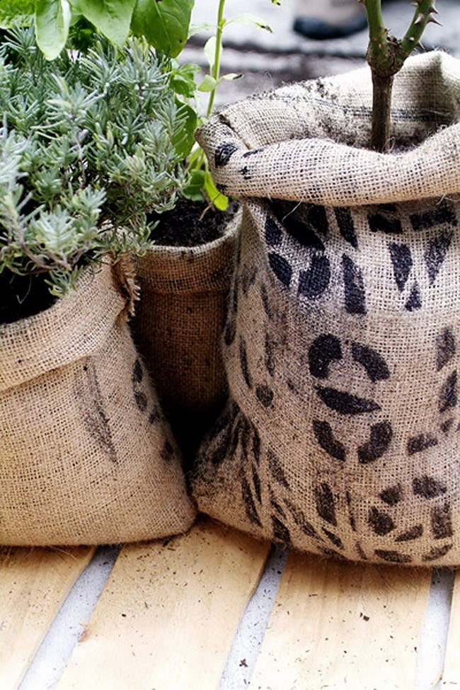 Plantas en sacos de tela