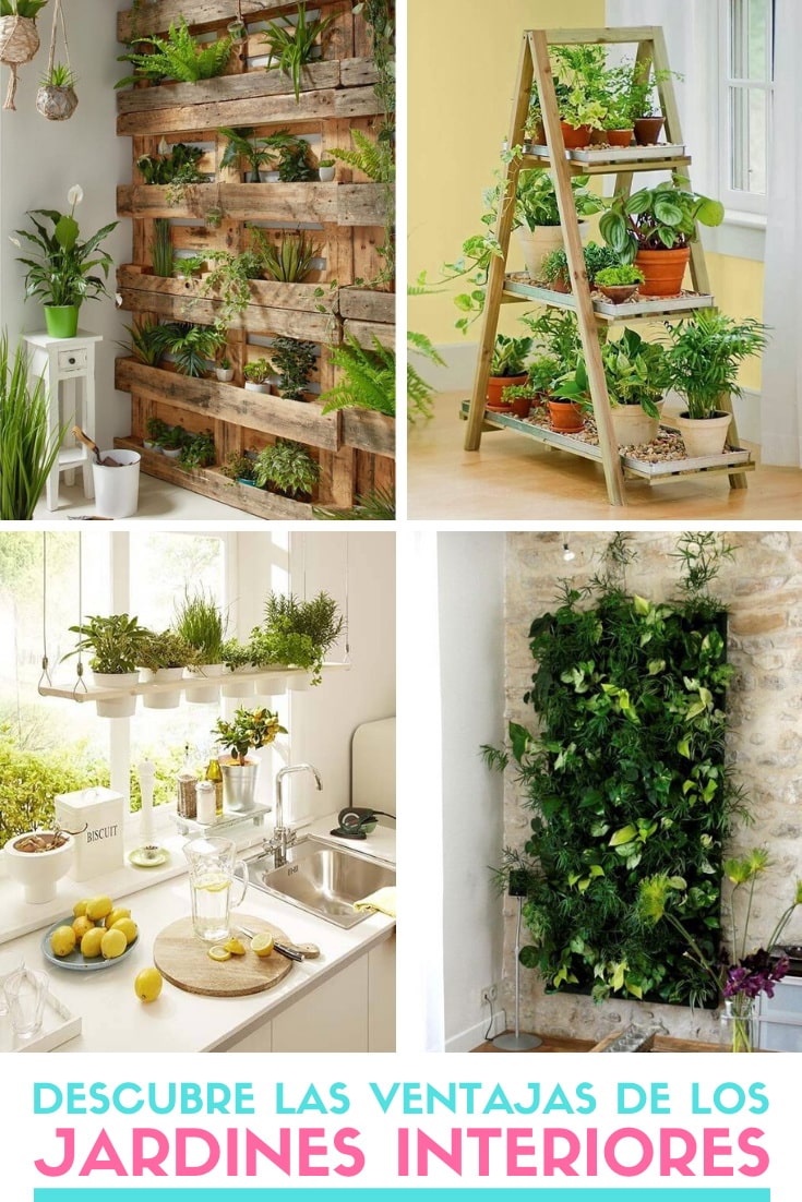 Jardines interiores
