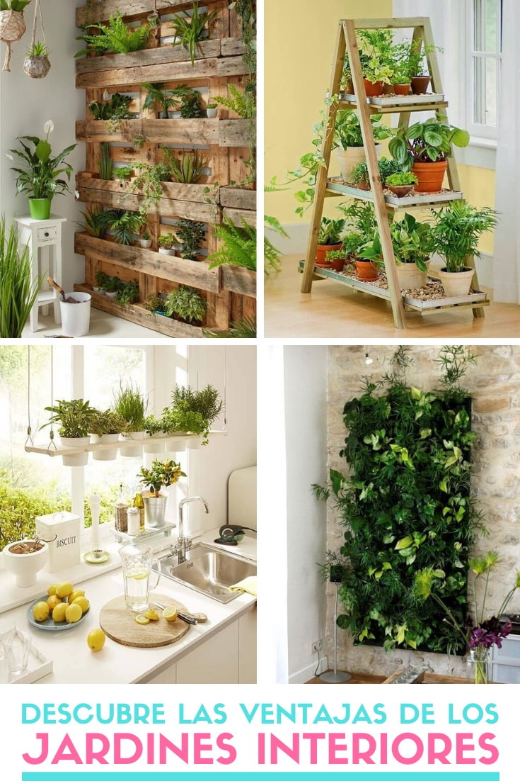 ▷ Jardines interiores. Descubre las ventajas de tener plantas el casa.