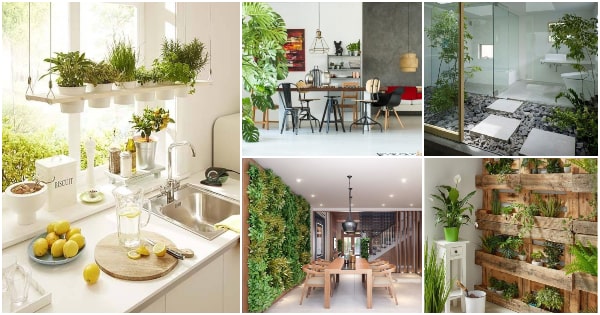 ▷ Jardines interiores. Descubre las ventajas de tener plantas el casa.