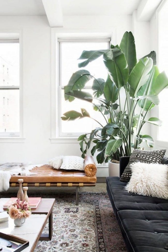 Daybed en el salón