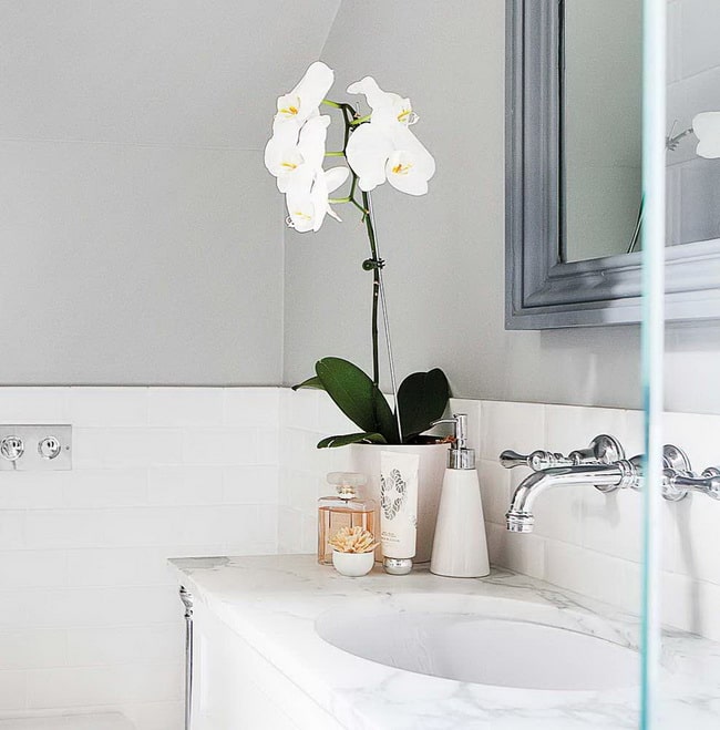 Orquídeas en el baño