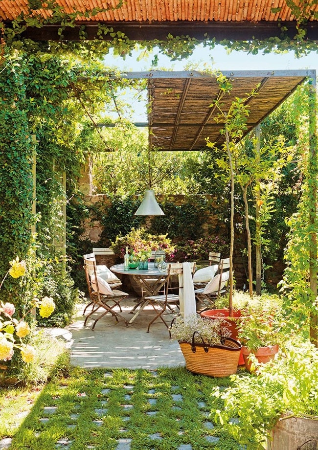 Pérgolas con cañizo y plantas