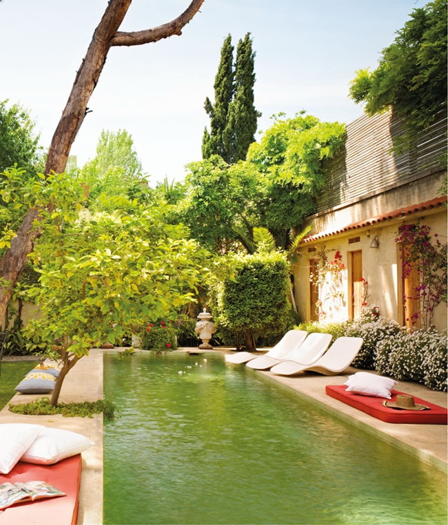 ▷ Cómo decorar el borde de la piscina. Decorar exteriores con piscina.