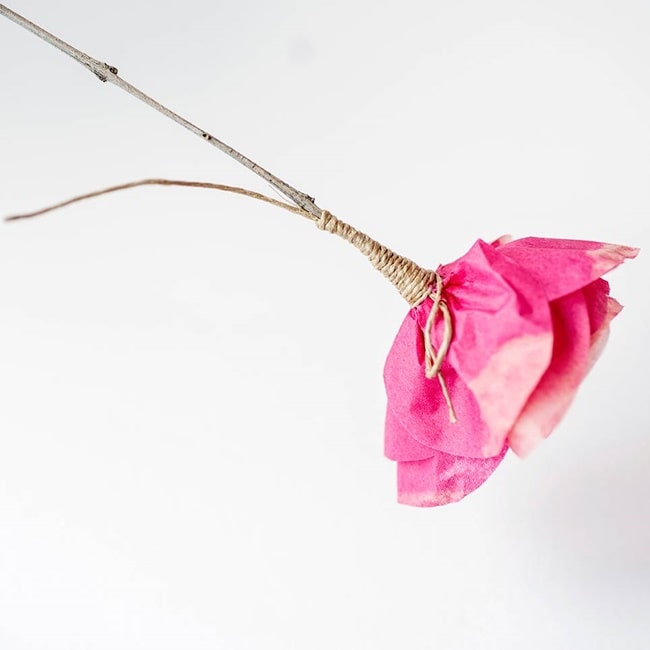 Flores de papel