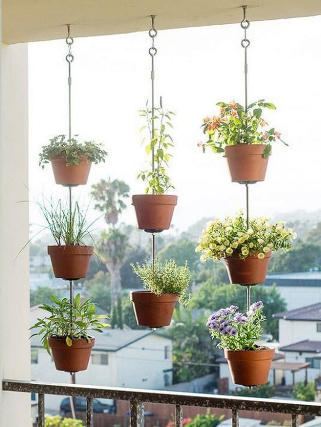 Plantas colgantes para decora balcones