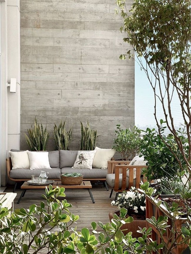 Terraza con plantas