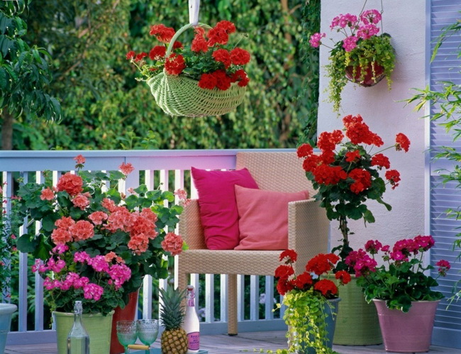 Flores en terrazas