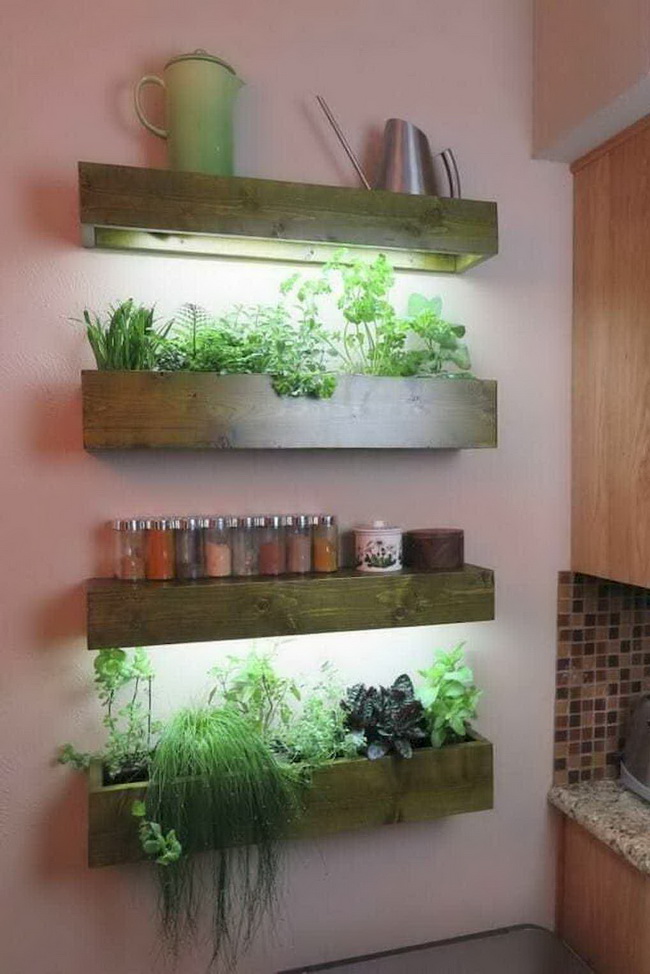 Jardín vertical interior en la cocina
