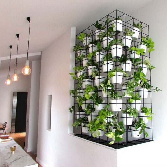 Jardines verticales en interiores