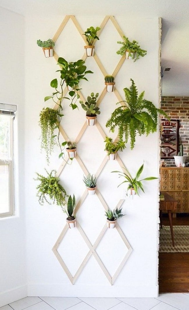 Plantas en las paredes interiores