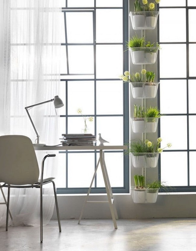 Ideas para jardines verticales
