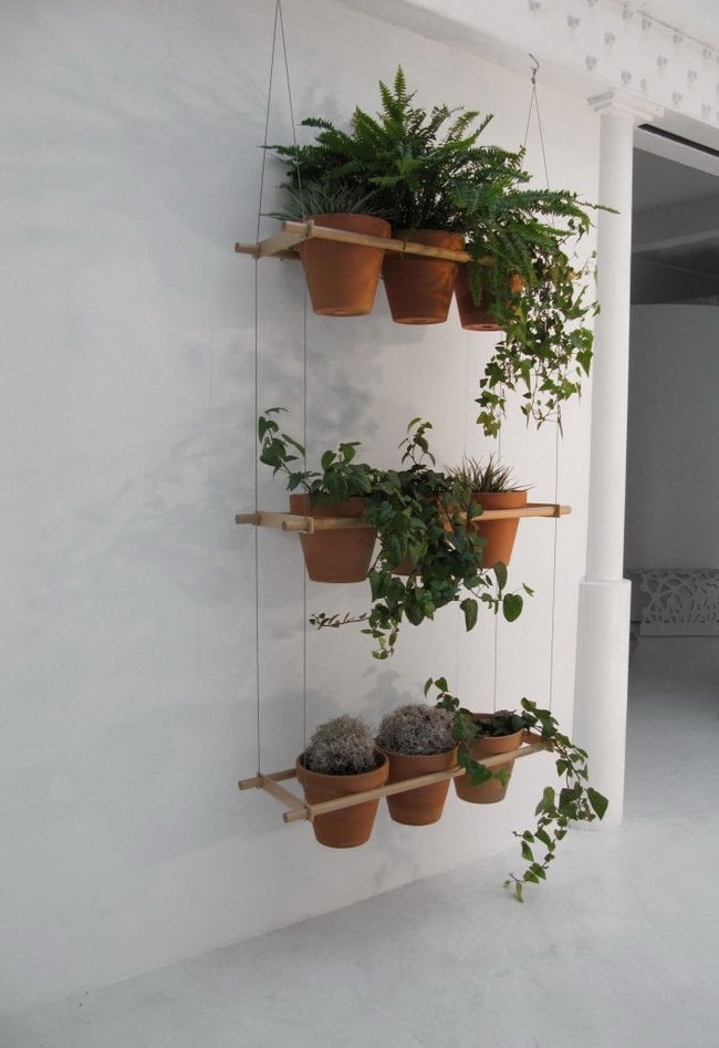 Macetas colgadas de la pared