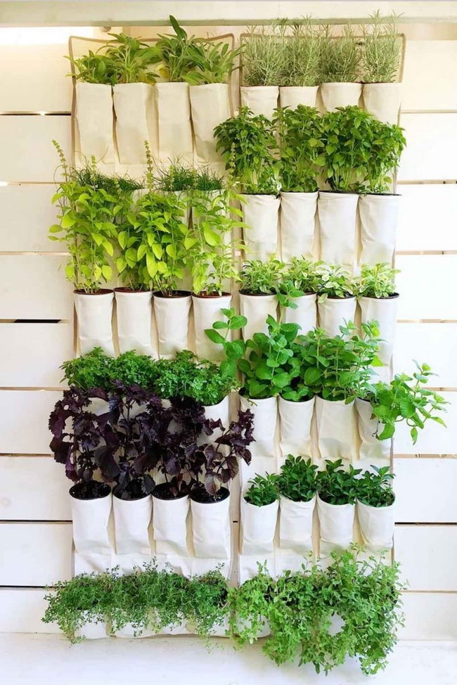 Ideas para tener un jardín vertical de interior