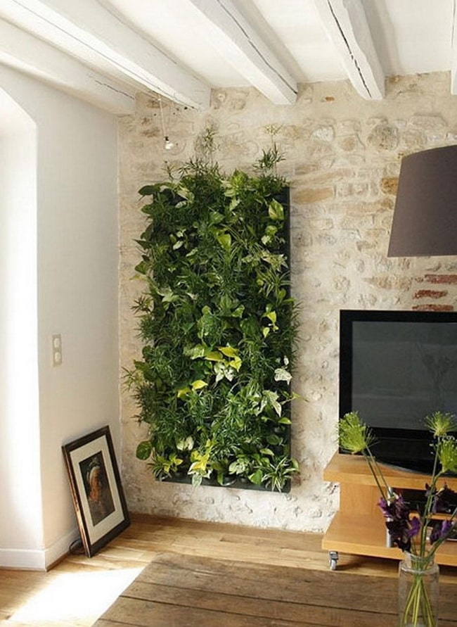 Plantas de interior en el salón